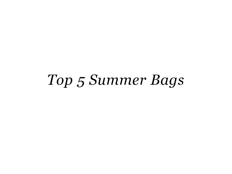 Top 5 Summer Bags size? blog