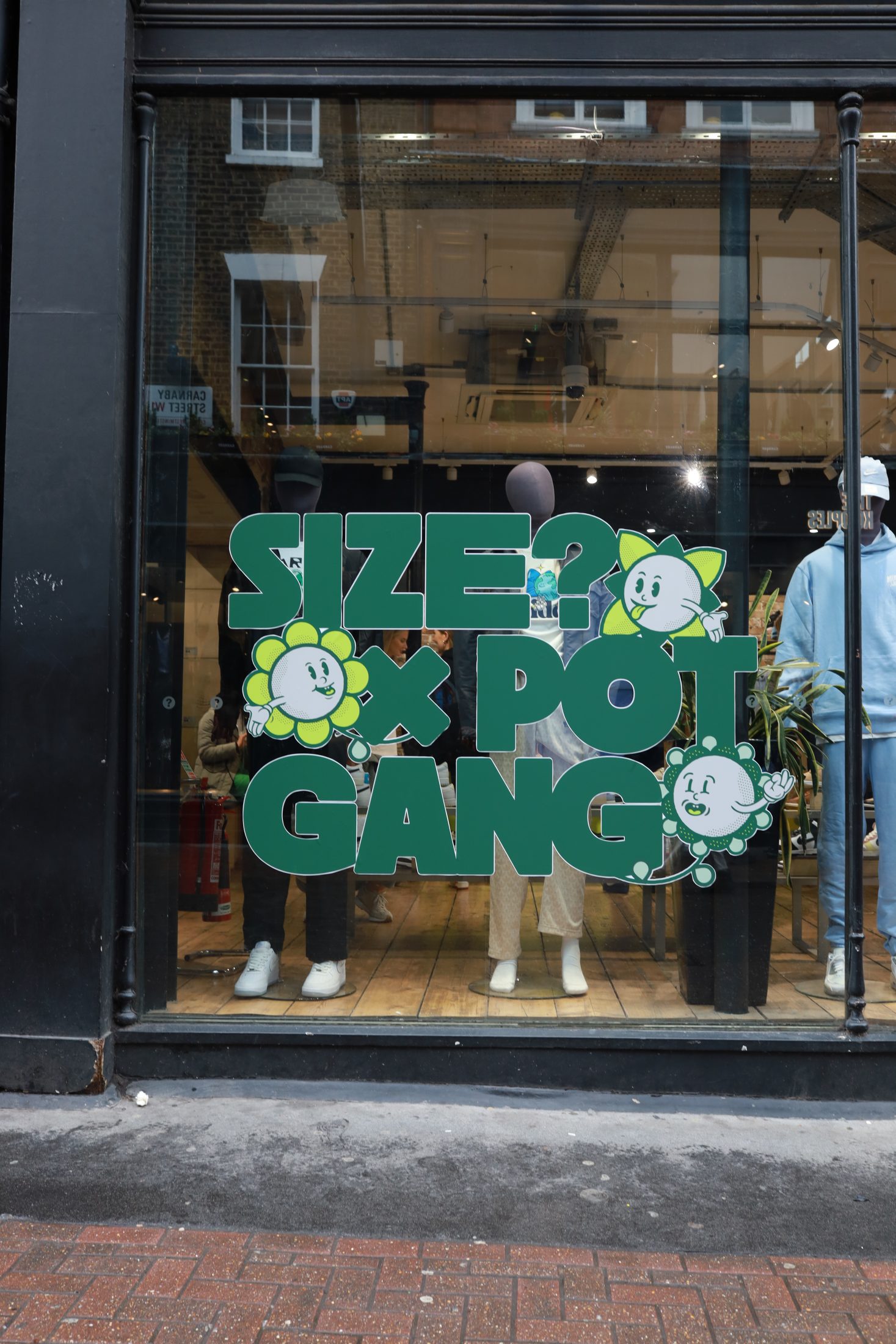 Pot Gang  Grow-Your-Own Box – POT GANG